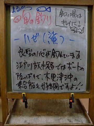 週刊旬の釣り看板