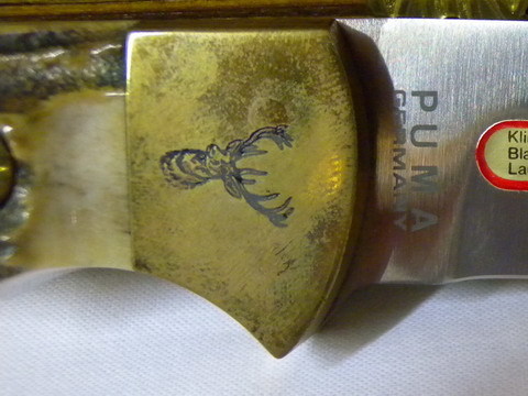 2015-0910kasutamu5_8.JPG