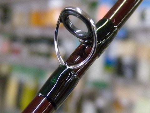 2016-0208fly_2.JPG