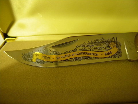 2015-0910kasutamu2_1.JPG