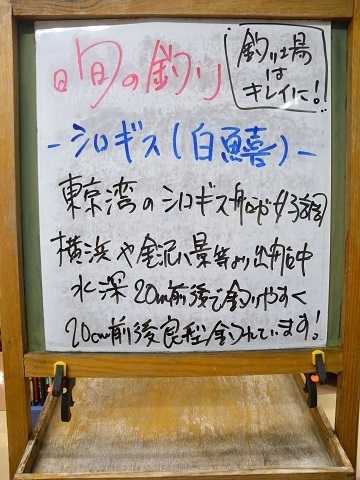 2022-0919.JPG