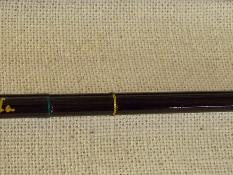 2016-0208fly_4.JPG