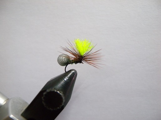 2020-0224fly (1).JPG